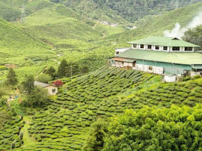 AMAZING KERALA (13 DAYS) J.DATE- 16/10/FRI, 12/11/MON, 20/12/SUN